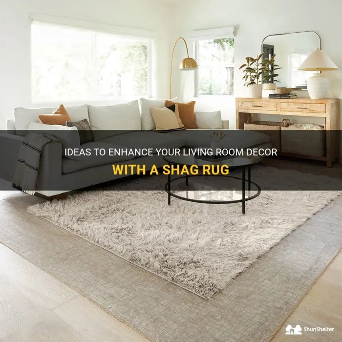 How to decorate living room with shag rug