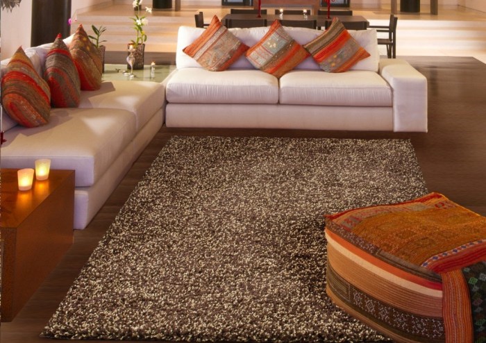 How to decorate living room with shag rug